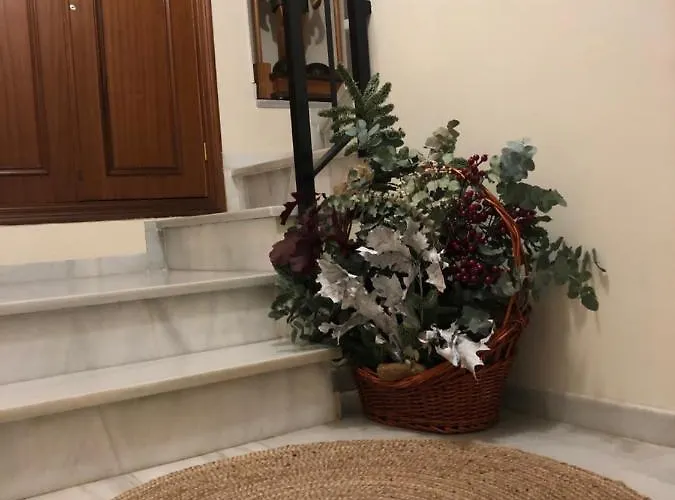 Апартаменти Ds Atico 5 *