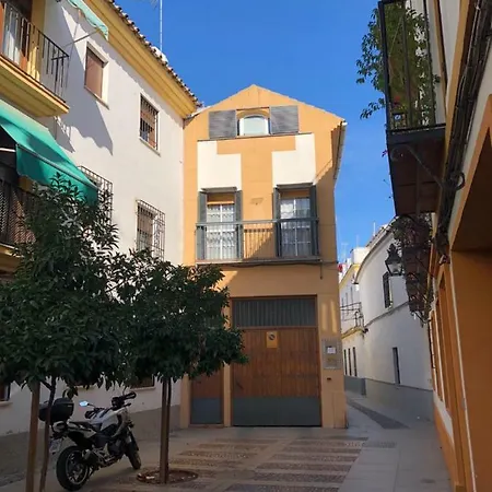Apartamento ático 5 Córdoba